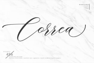 Correa Script: A Modern Handwritten Typeface for Chic Brand Identity