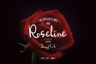 Introducing Roseline Script: A Handwritten Typeface with Heart