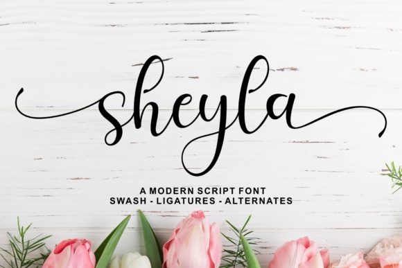 Sheyla Script: The Modern Typeface for Clearer Campaign Messaging