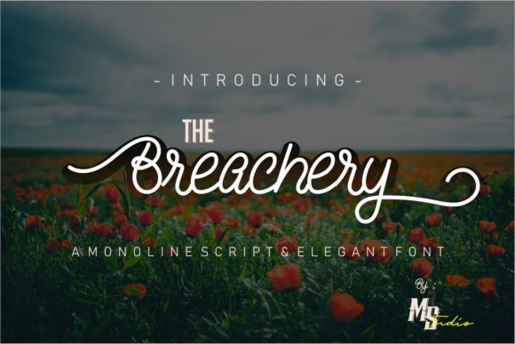 The Breachery Script: A Premium Handwritten Font for Campaign Design